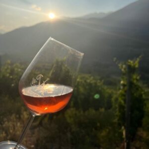 Aperitivo in Vigna